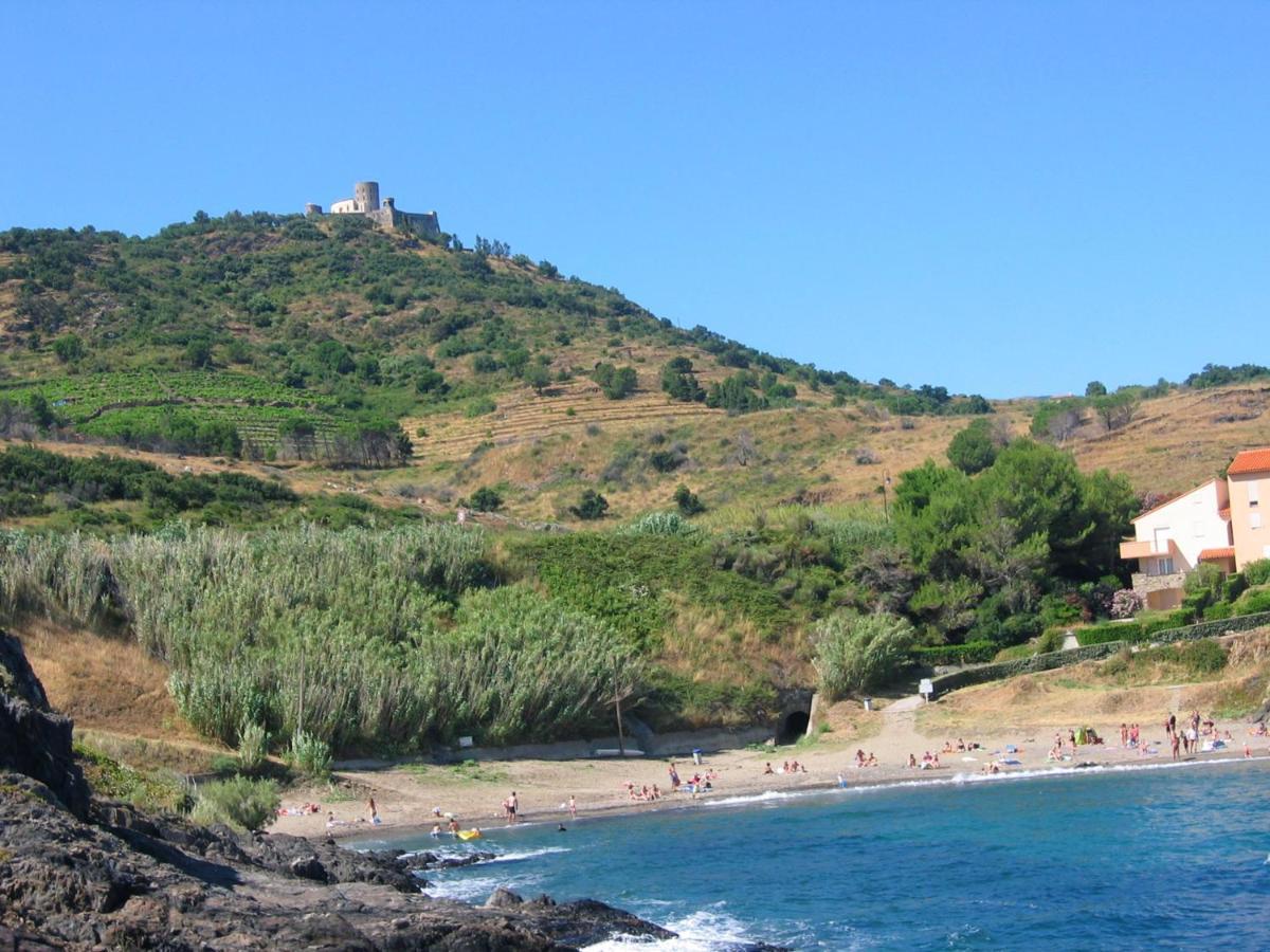 Port Vendres Seaview: 2-Bedroom Apartment with Balcony and Wi-Fi Exterior photo